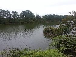 #V0085 - Terreno para Venda em Embu-Guaçu - SP - 3