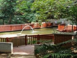 #A0220 - Apartamento para Locação em São Paulo - SP