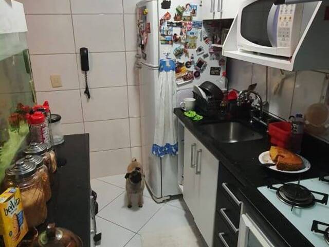 Apartamento para Venda em São Paulo - 3