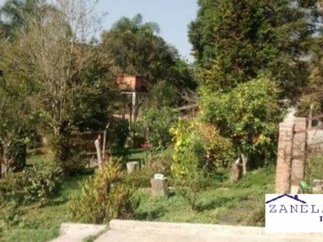 #V00696 - Chácara para Venda em São Paulo - SP - 3