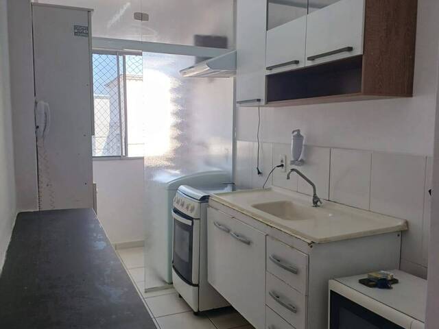 Apartamento para Locação em São Paulo - 5